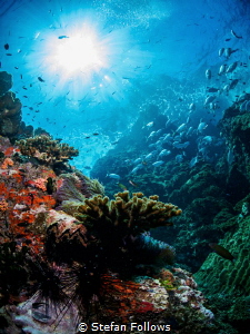 Stairway ... !

Sail Rock, Thailand-EM5-Panasonic 8mm-i... by Stefan Follows 